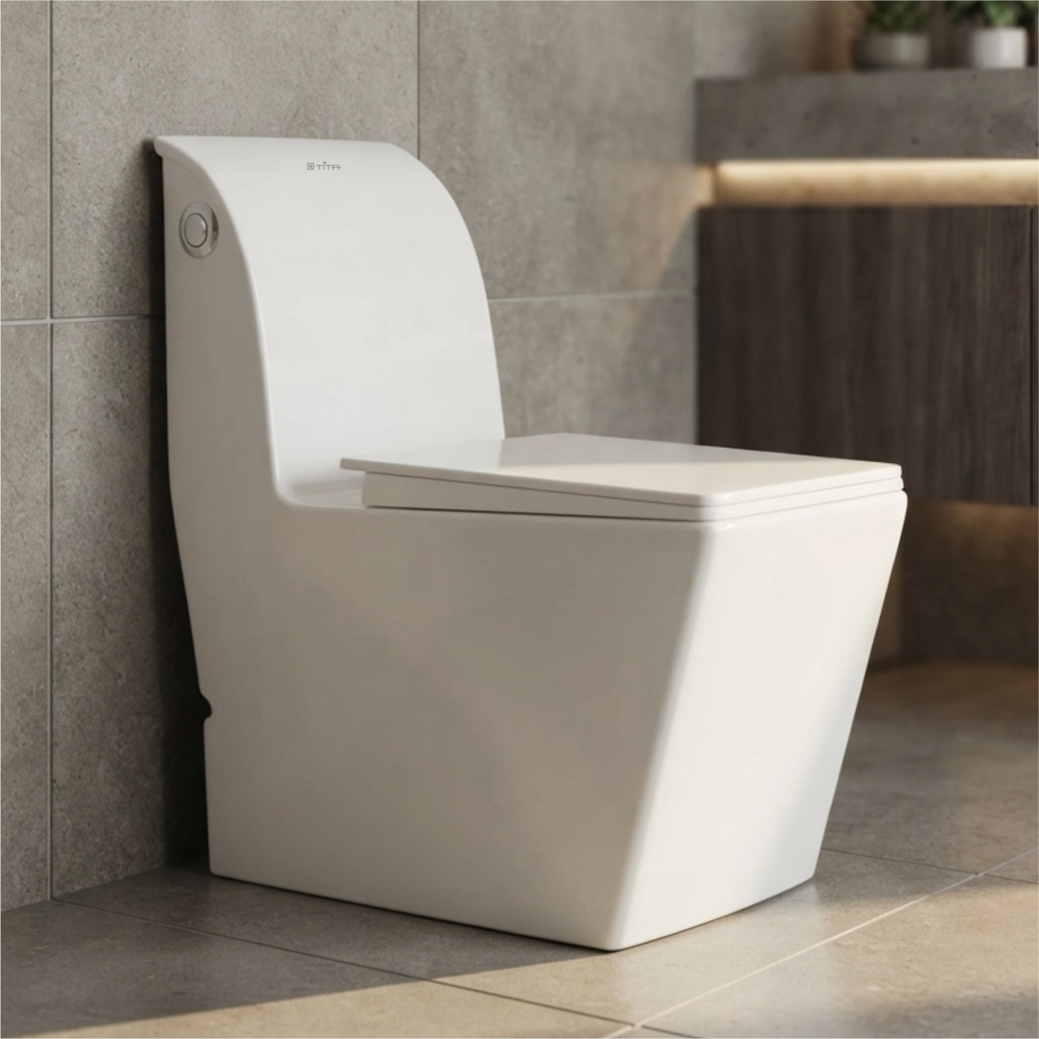 One Piece Toilet